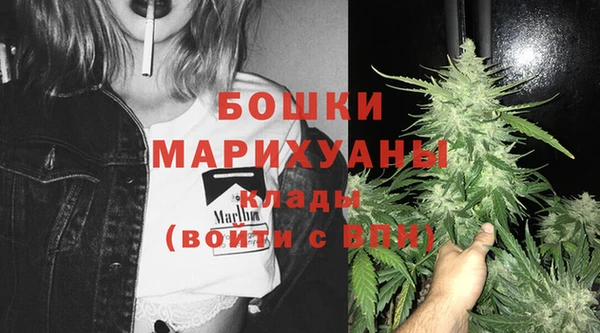 МДПВ Заводоуковск
