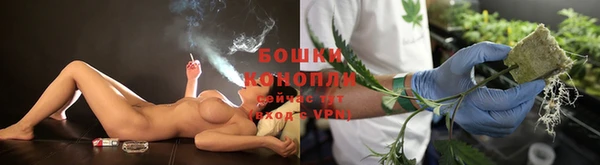тгк Саяногорск