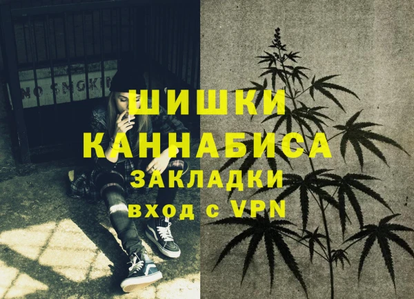 прущие грибы Сатка