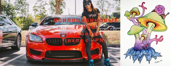 прущие грибы Сатка