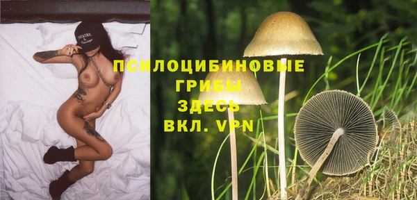 прущие грибы Сатка