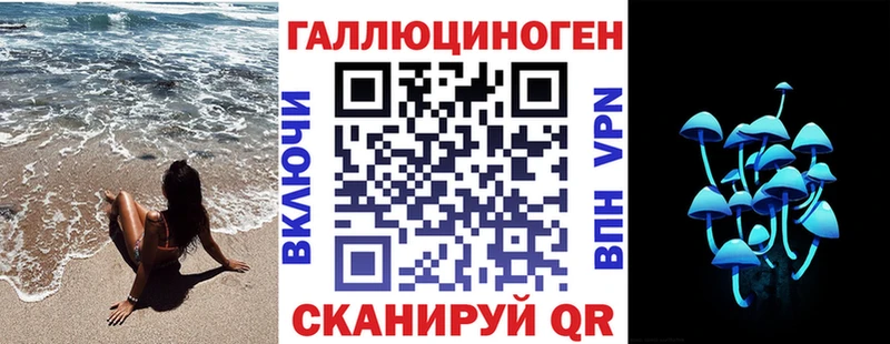 Псилоцибиновые грибы Psilocybe  Теберда 