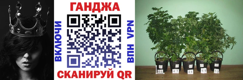 даркнет сайт  Теберда  Каннабис AK-47 